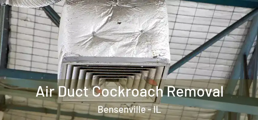  Air Duct Cockroach Removal Bensenville - IL