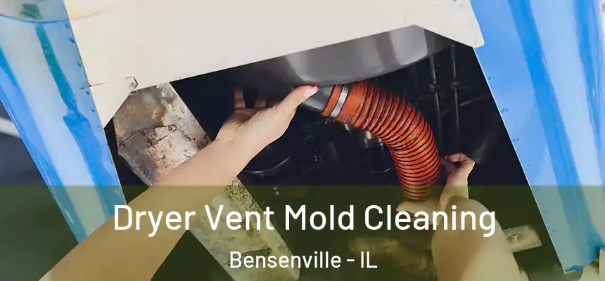  Dryer Vent Mold Cleaning Bensenville - IL
