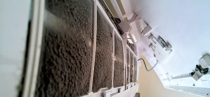 Preventive Air Duct Bacteria Removal in Bensenville