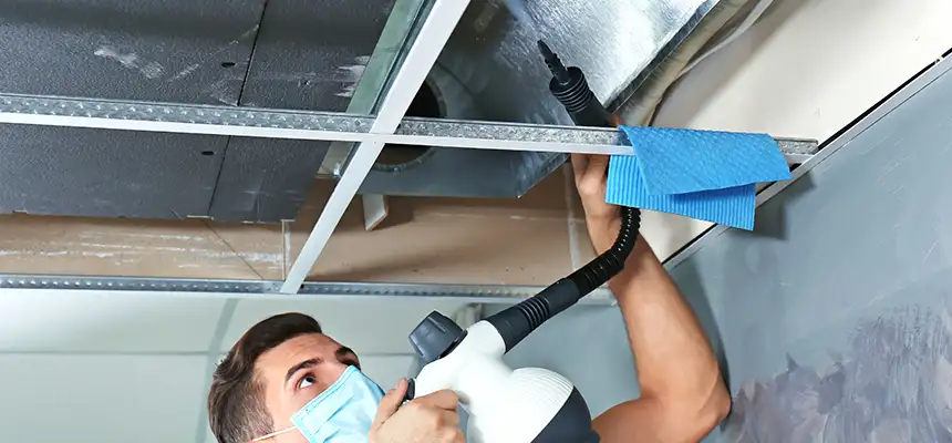 Our Air Duct Rodent Removal Services in Bensenville, IL
