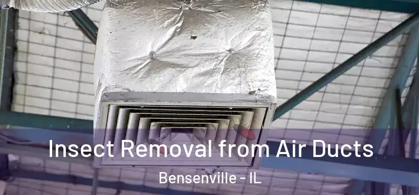  Insect Removal from Air Ducts Bensenville - IL