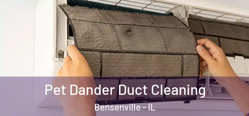  Pet Dander Duct Cleaning Bensenville - IL