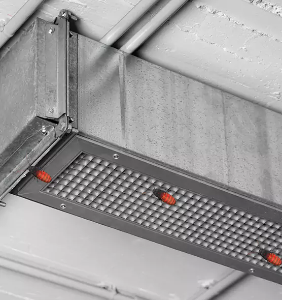 About Air Duct Cockroach Removal in Bensenville, IL