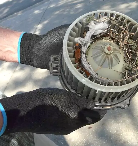 About Air Duct Mice Removal in Bensenville, IL