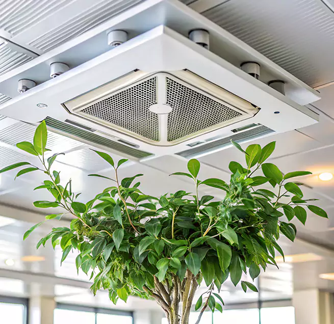 Why Homeowners & Businesses Trust Us in Bensenville, IL?