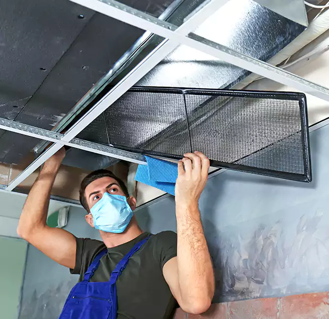 Why Homeowners Businesses Trust Us in Bensenville, IL